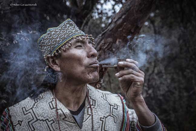 consultas, lectura de tabaco